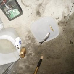 ナイトルアーフィッシング シーバス