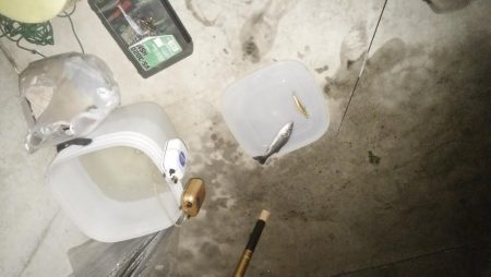 ナイトルアーフィッシング シーバス