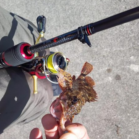 清々しい(キヨキヨしい)