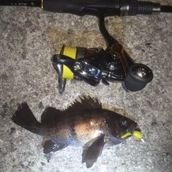 平成最後の大爆釣