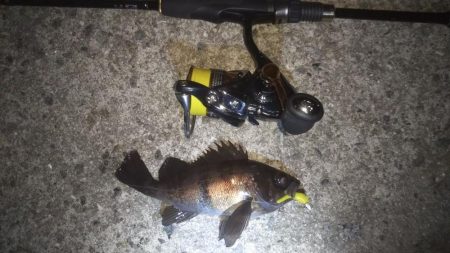 平成最後の大爆釣