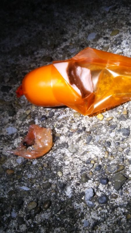 メバルさん　まぁまぁの型