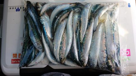 平成最後の淡路島釣行