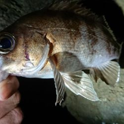 仕事終わりメバリング