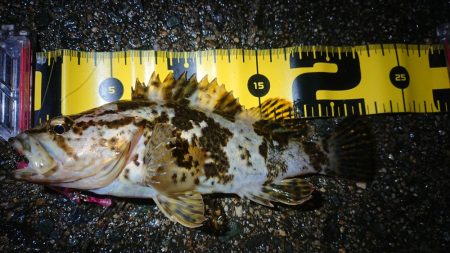 短時間メバリング