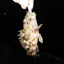 仕事帰りの癒し