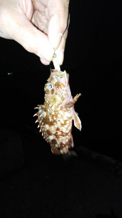 仕事帰りの癒し