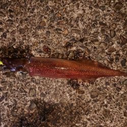 好状況ながら渋い