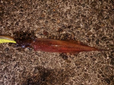 好状況ながら渋い