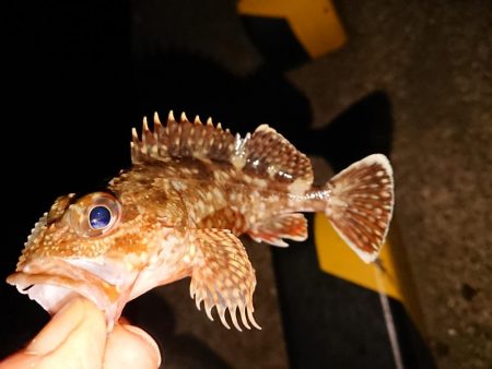 爆風の中さすがに厳しい