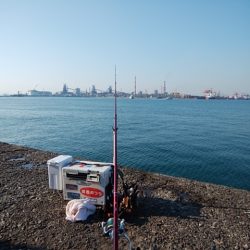 播磨新島のキス情報