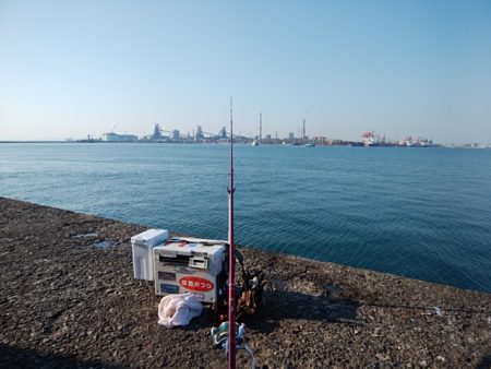 播磨新島のキス情報