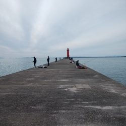 播磨新島のキス情報