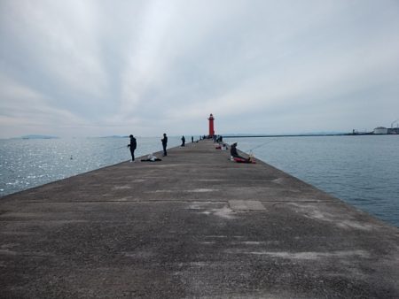 播磨新島のキス情報