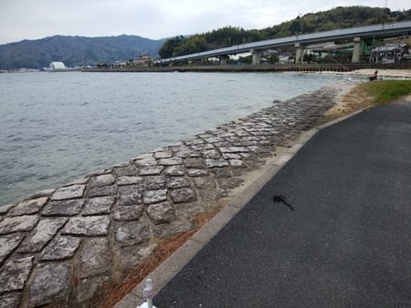 西宮津公園のキス情報