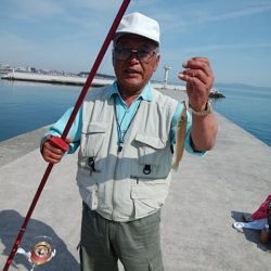 東二見白灯台のキス情報