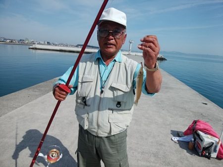 東二見白灯台のキス情報