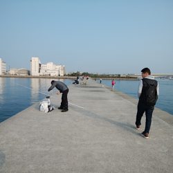 東二見白灯台のキス情報