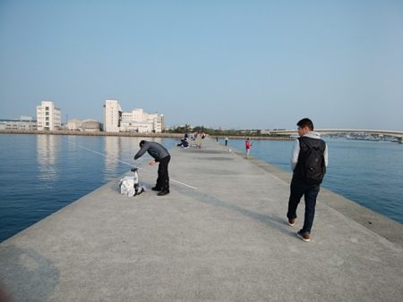 東二見白灯台のキス情報