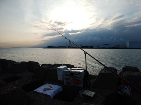 東二見水道のキス情報