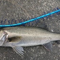 暖かい春の夕練！