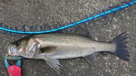 暖かい春の夕練！