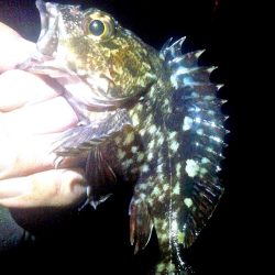 満潮からの引き潮で