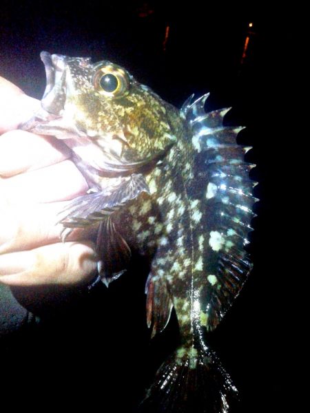 満潮からの引き潮で