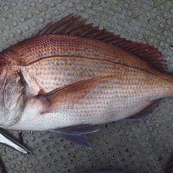 ネチネチネギング