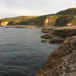 これがスーパーオモックの力