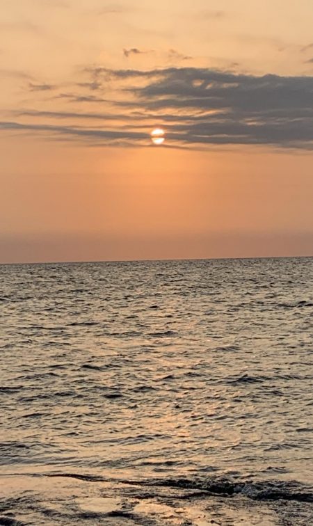 春烏賊いはほど遠い