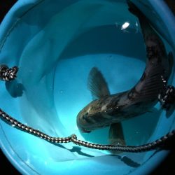 潮が動き始めたら・・・