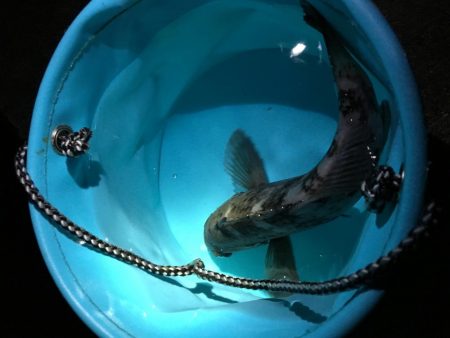 潮が動き始めたら・・・