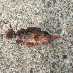 やっぱり穴たが好き