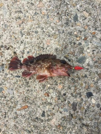 やっぱり穴たが好き