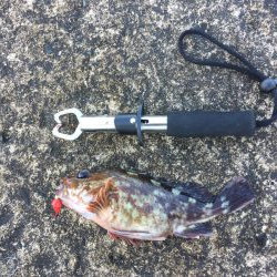 まさかの展開！