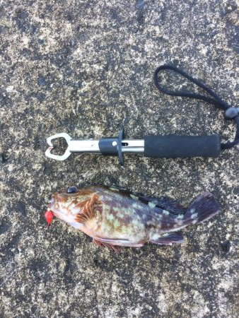 まさかの展開！