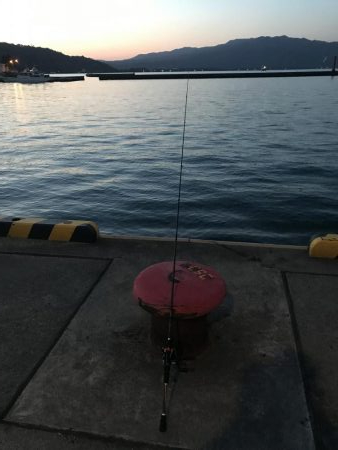 ちょっとだけヒイラギ