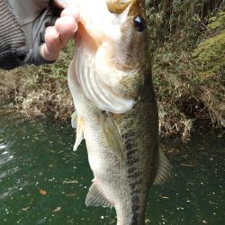 スポーンどハマリ…