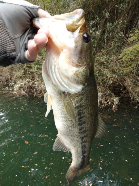 スポーンどハマリ…