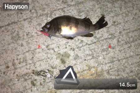 サイズアップできない