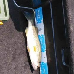 春休みちょい爆