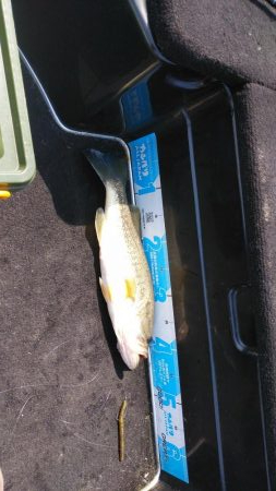 春休みちょい爆