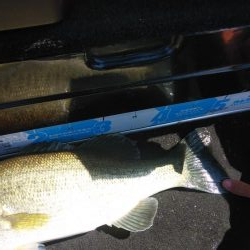 引き続きちょい爆