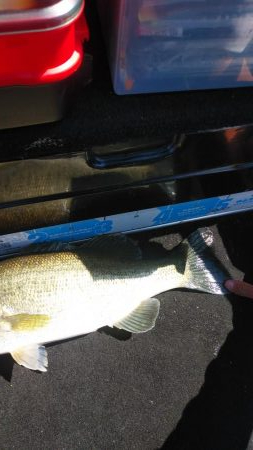 引き続きちょい爆