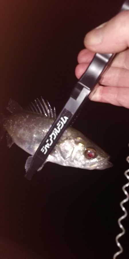 メバリング最高!