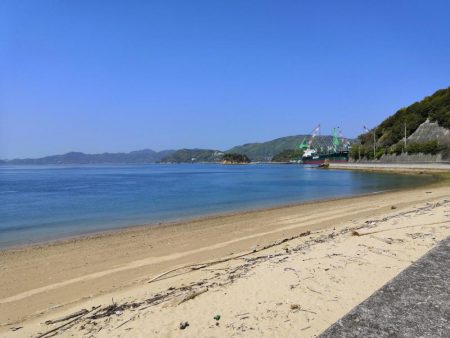 キスがそろそろ釣れ始めています。