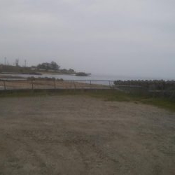 またまたソゲが1枚