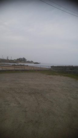 またまたソゲが1枚