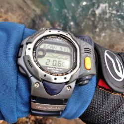 グレ・サンコ・釣れ出す・・